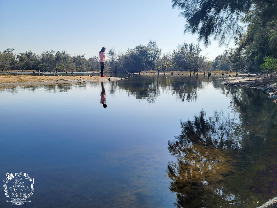 好美里秘境1920號保安林!碧海藍天的水漾森林!超美倒映適合網美親子拍照? - 第31張圖 好美里秘境1920號保安林!碧海藍天的水漾森林!超美倒映適合網美親子拍照?