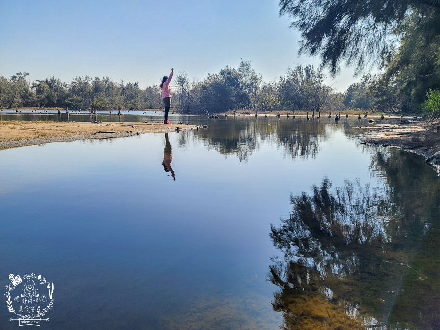 好美里秘境1920號保安林!碧海藍天的水漾森林!超美倒映適合網美親子拍照? - 第33張圖 好美里秘境1920號保安林!碧海藍天的水漾森林!超美倒映適合網美親子拍照?