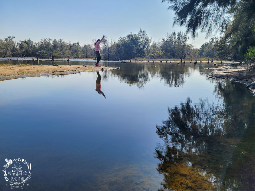 好美里秘境1920號保安林!碧海藍天的水漾森林!超美倒映適合網美親子拍照? - 第34張圖 好美里秘境1920號保安林!碧海藍天的水漾森林!超美倒映適合網美親子拍照?