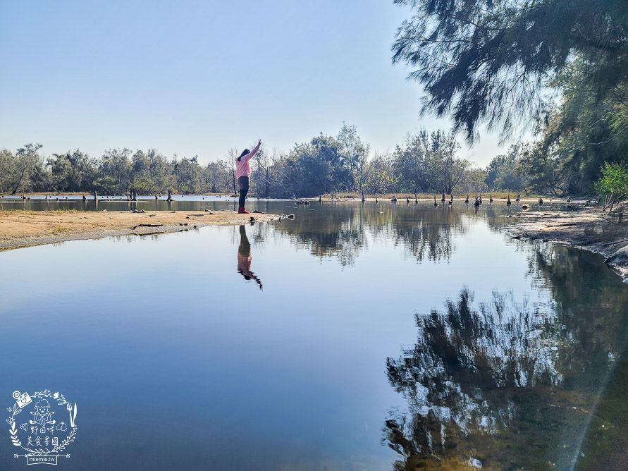 好美里秘境1920號保安林!碧海藍天的水漾森林!超美倒映適合網美親子拍照? - 第35張圖 好美里秘境1920號保安林!碧海藍天的水漾森林!超美倒映適合網美親子拍照?