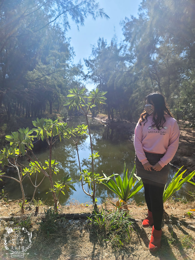 好美里秘境1920號保安林!碧海藍天的水漾森林!超美倒映適合網美親子拍照? - 第12張圖 好美里秘境1920號保安林!碧海藍天的水漾森林!超美倒映適合網美親子拍照?