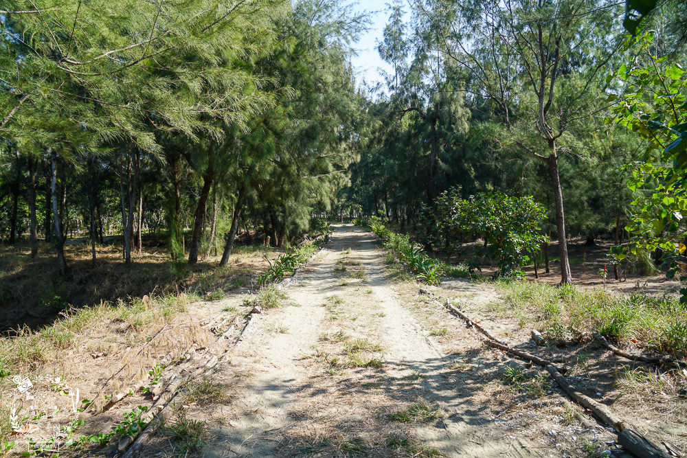 好美里秘境1920號保安林!碧海藍天的水漾森林!超美倒映適合網美親子拍照? - 第7張圖 好美里秘境1920號保安林!碧海藍天的水漾森林!超美倒映適合網美親子拍照?