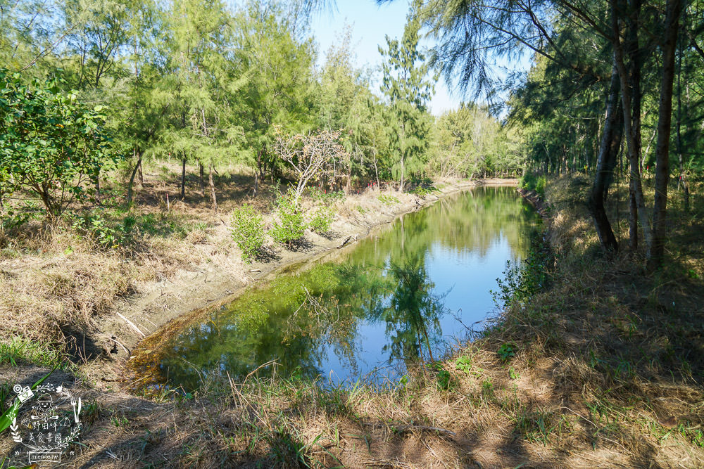 好美里秘境1920號保安林!碧海藍天的水漾森林!超美倒映適合網美親子拍照? - 第9張圖 好美里秘境1920號保安林!碧海藍天的水漾森林!超美倒映適合網美親子拍照?