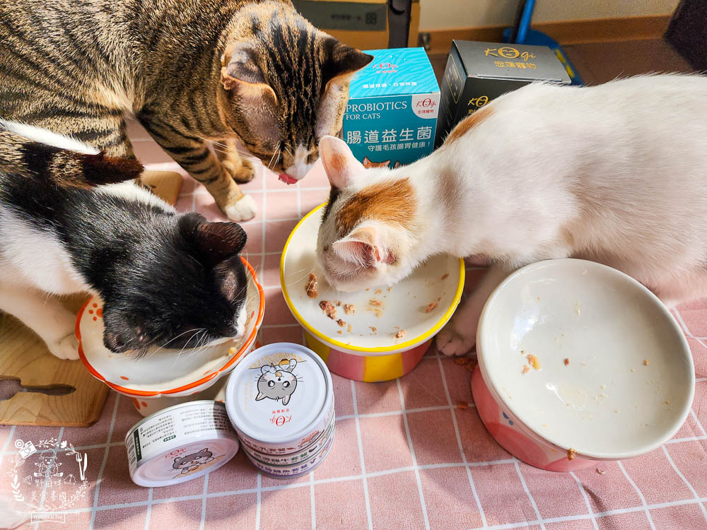 宏瑋寵物95%肉含量的貓咪主食罐湯罐與100%原肉製造的牛肉凍乾!適口性極佳！