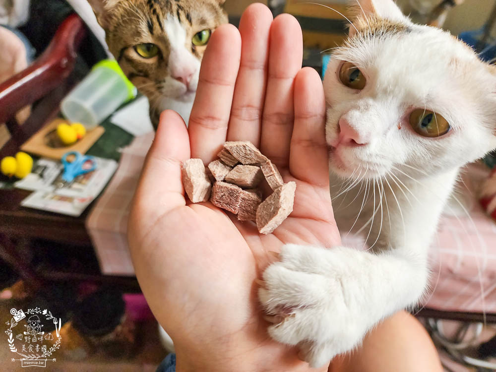 宏瑋寵物95%肉含量的貓咪主食罐湯罐與100%原肉製造的牛肉凍乾!適口性極佳！