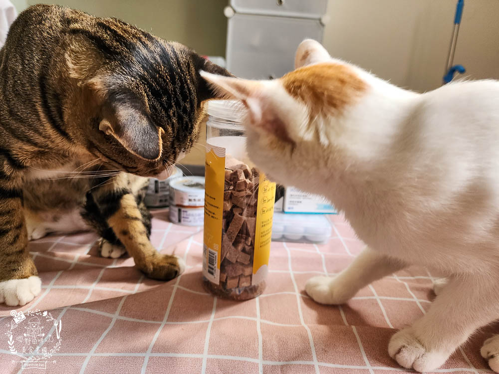 宏瑋寵物95%肉含量的貓咪主食罐湯罐與100%原肉製造的牛肉凍乾!適口性極佳！