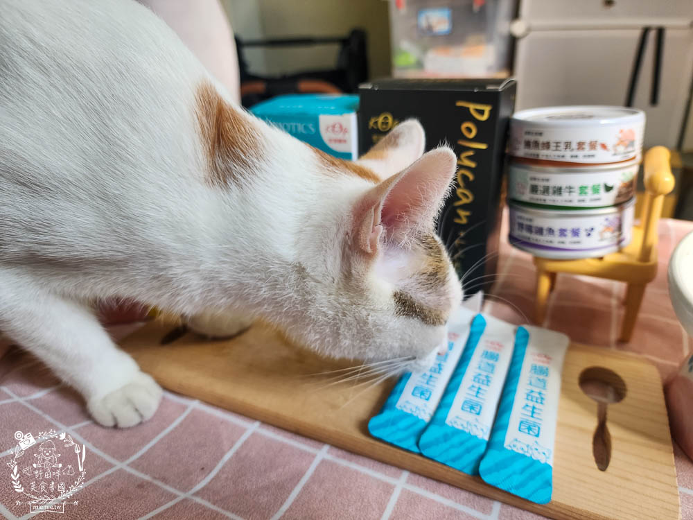 宏瑋寵物腸道益生菌黑酵母離胺酸|超多萃取物與90億專利活菌可以幫助便便順暢不臭臭|幫助鈣質吸收、強化生理機能