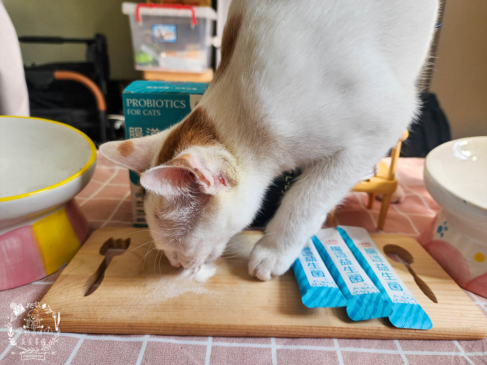 宏瑋寵物腸道益生菌黑酵母離胺酸|超多萃取物與90億專利活菌可以幫助便便順暢不臭臭|幫助鈣質吸收、強化生理機能