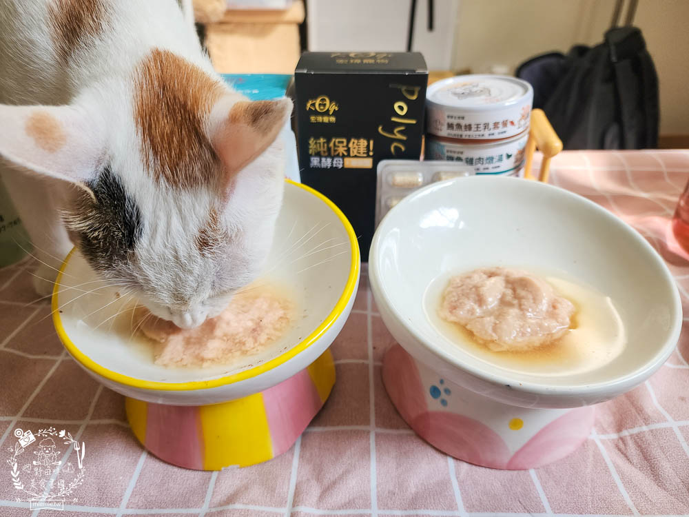 宏瑋寵物腸道益生菌黑酵母離胺酸|超多萃取物與90億專利活菌可以幫助便便順暢不臭臭|幫助鈣質吸收、強化生理機能