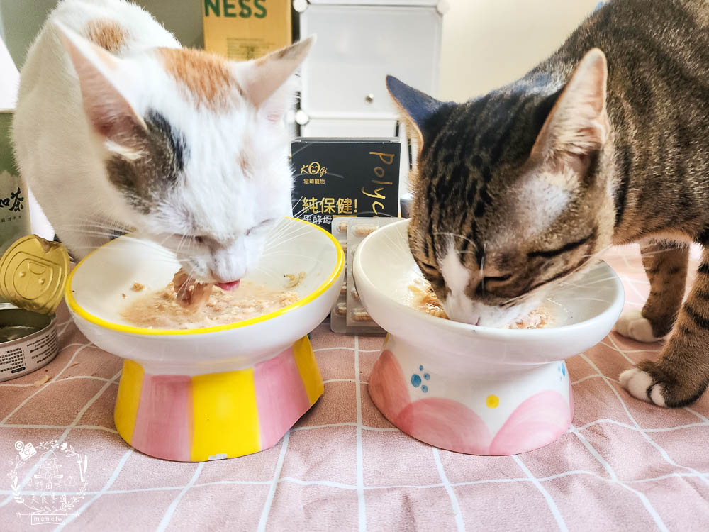 宏瑋寵物95%肉含量的貓咪主食罐湯罐與100%原肉製造的牛肉凍乾!適口性極佳！