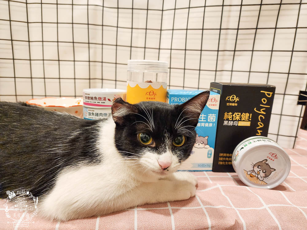宏瑋寵物腸道益生菌黑酵母離胺酸|超多萃取物與90億專利活菌可以幫助便便順暢不臭臭|幫助鈣質吸收、強化生理機能