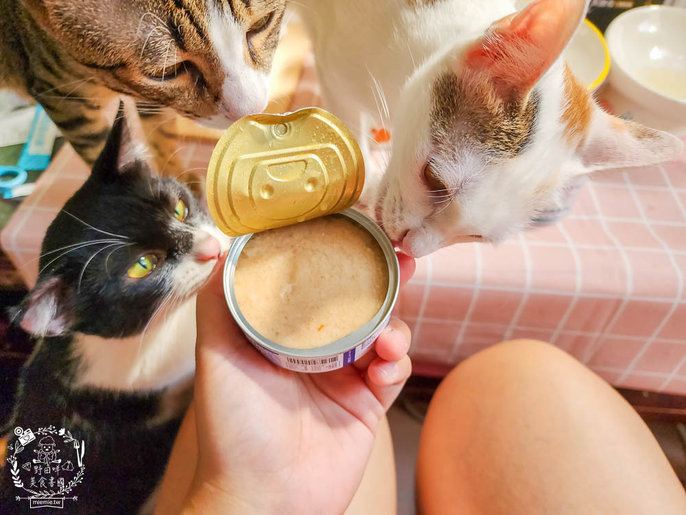 宏瑋寵物95%肉含量的貓咪主食罐湯罐與100%原肉製造的牛肉凍乾!適口性極佳！