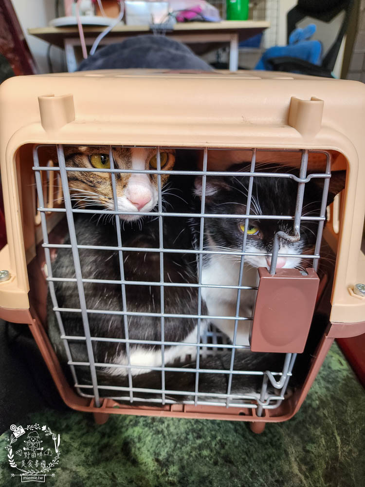 宏瑋寵物95%肉含量的貓咪主食罐湯罐與100%原肉製造的牛肉凍乾!適口性極佳！