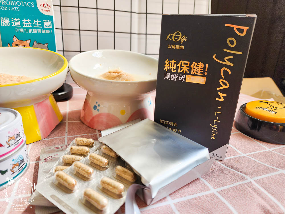 宏瑋寵物腸道益生菌黑酵母離胺酸|超多萃取物與90億專利活菌可以幫助便便順暢不臭臭|幫助鈣質吸收、強化生理機能