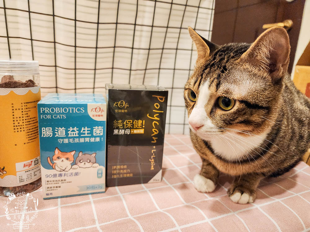 宏瑋寵物腸道益生菌黑酵母離胺酸|超多萃取物與90億專利活菌可以幫助便便順暢不臭臭|幫助鈣質吸收、強化生理機能