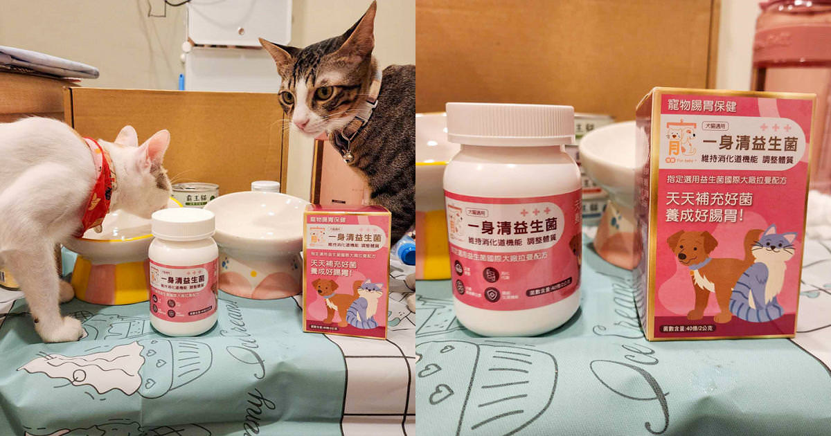 寵物益生菌推薦!寵霸 Furbaby+ 腸胃專科益生菌|國際大廠拉曼配方，讓毛孩天天補充好菌
