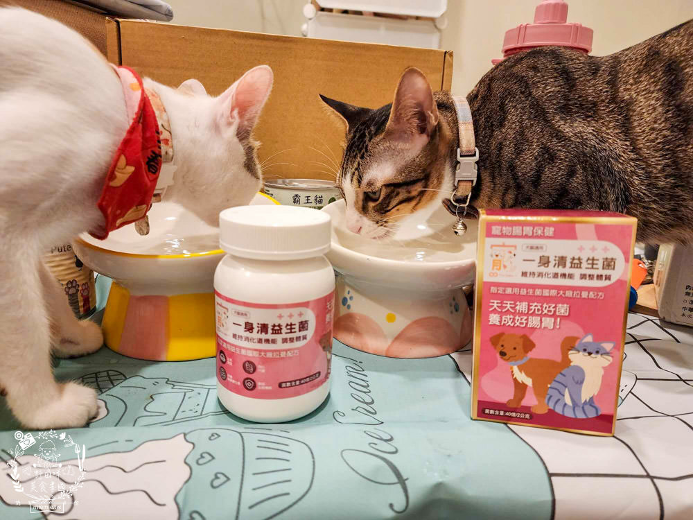 寵物益生菌推薦!寵霸 Furbaby+ 腸胃專科益生菌|國際大廠拉曼配方，讓毛孩天天補充好菌