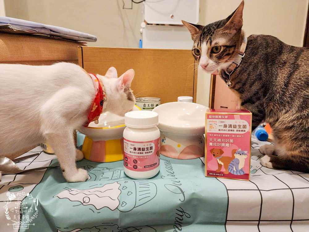 寵物益生菌推薦!寵霸 Furbaby+ 腸胃專科益生菌|國際大廠拉曼配方，讓毛孩天天補充好菌