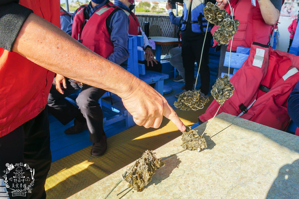 嘉義布袋景點[海上巴士&蛋糕沙灘]踏上無人島玩樂拍熱門IG網美照!還有船上烤鮮蚵鮮蝦?