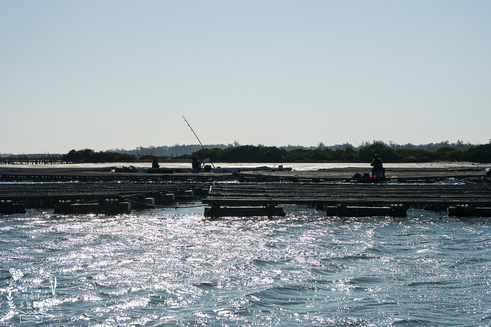 嘉義布袋景點[海上巴士&蛋糕沙灘]踏上無人島玩樂拍熱門IG網美照!還有船上烤鮮蚵鮮蝦?