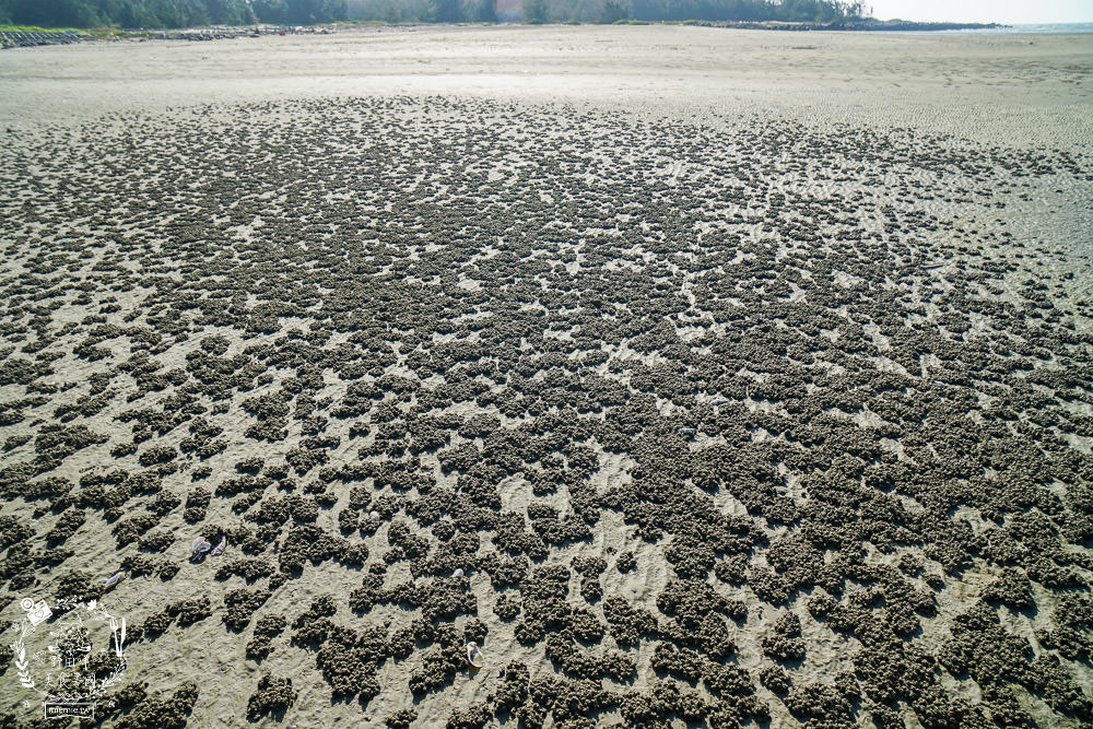 嘉義布袋景點[海上巴士&蛋糕沙灘]踏上無人島玩樂拍熱門IG網美照!還有船上烤鮮蚵鮮蝦?