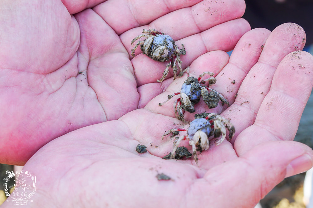 嘉義布袋景點[海上巴士&蛋糕沙灘]踏上無人島玩樂拍熱門IG網美照!還有船上烤鮮蚵鮮蝦?