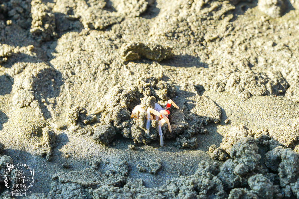 嘉義布袋景點[海上巴士&蛋糕沙灘]踏上無人島玩樂拍熱門IG網美照!還有船上烤鮮蚵鮮蝦?