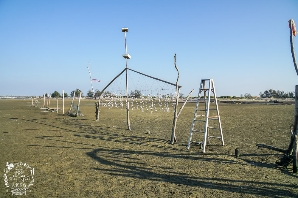 嘉義布袋景點[海上巴士&蛋糕沙灘]踏上無人島玩樂拍熱門IG網美照!還有船上烤鮮蚵鮮蝦?