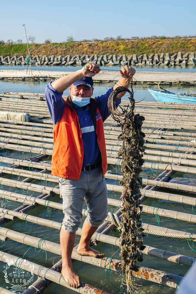 嘉義布袋景點[海上巴士&蛋糕沙灘]踏上無人島玩樂拍熱門IG網美照!還有船上烤鮮蚵鮮蝦?