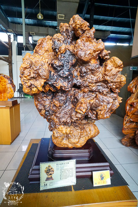嘉義景點推薦[希諾奇台灣檜木博物館]免費欣賞壯觀的雕刻藝術作品!