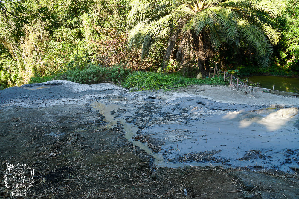 高雄烏山頂泥火山＆新養女湖|台灣難得可貴的奇景!欣賞泥火山暴動樣貌?!
