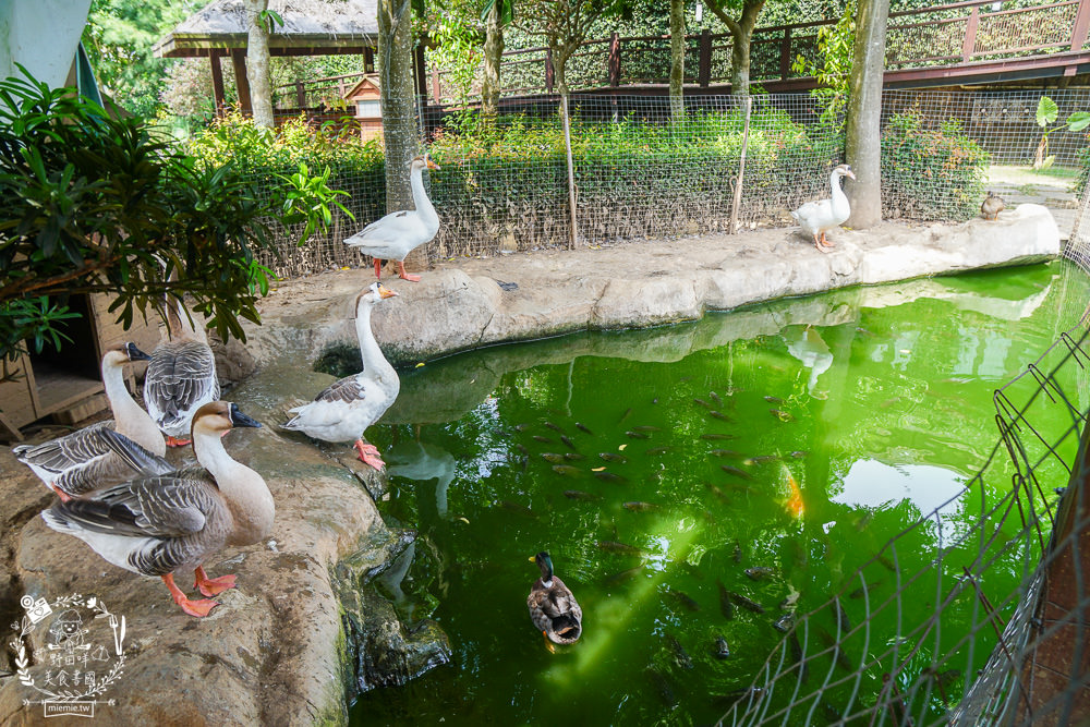 台中麗寶住宿[星月文旅溫泉住宿]超清幽的休閒度假村+溫泉民宿｜適合親子住宿的台中旅遊景點