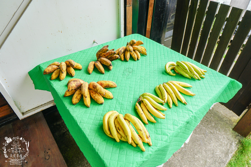 嘉義[森活琚咖啡]阿里山公路的清幽景觀咖啡廳!綠意盎然的山巒景色美不勝收!