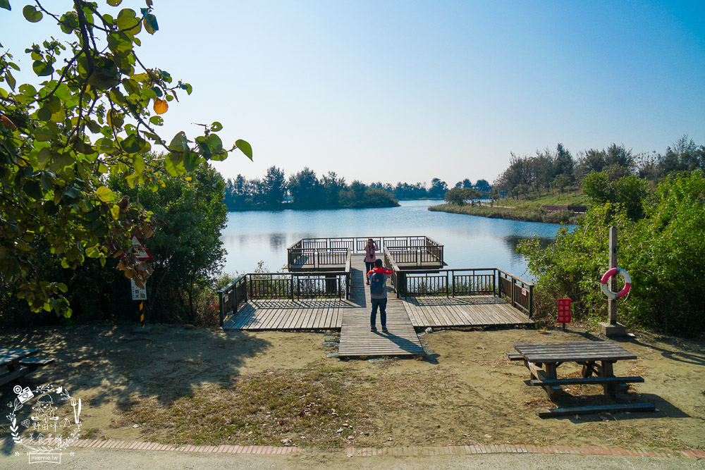 雲林景點[椬梧滯洪池]綠意盎然的樹林濕地!優美如畫的自然生態!熱門IG打卡網美景點!