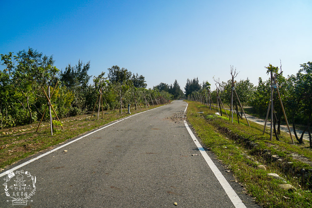 雲林景點[椬梧滯洪池]綠意盎然的樹林濕地!優美如畫的自然生態!熱門IG打卡網美景點!