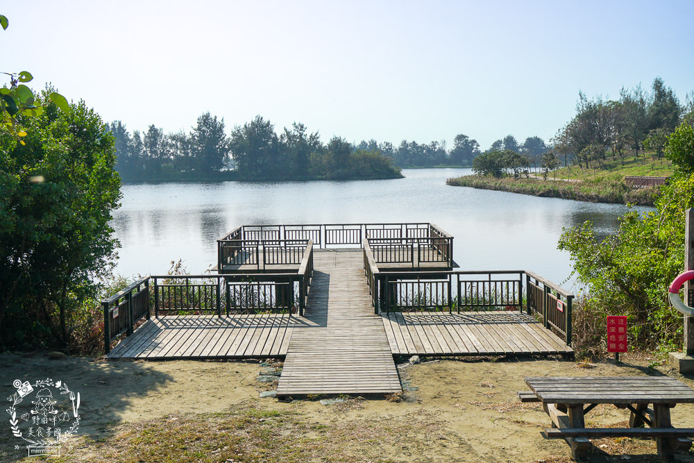 雲林景點[椬梧滯洪池]綠意盎然的樹林濕地!優美如畫的自然生態!熱門IG打卡網美景點!