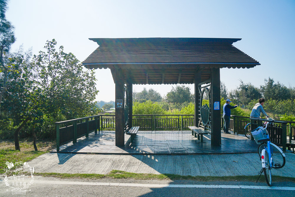 雲林景點[椬梧滯洪池]綠意盎然的樹林濕地!優美如畫的自然生態!熱門IG打卡網美景點!