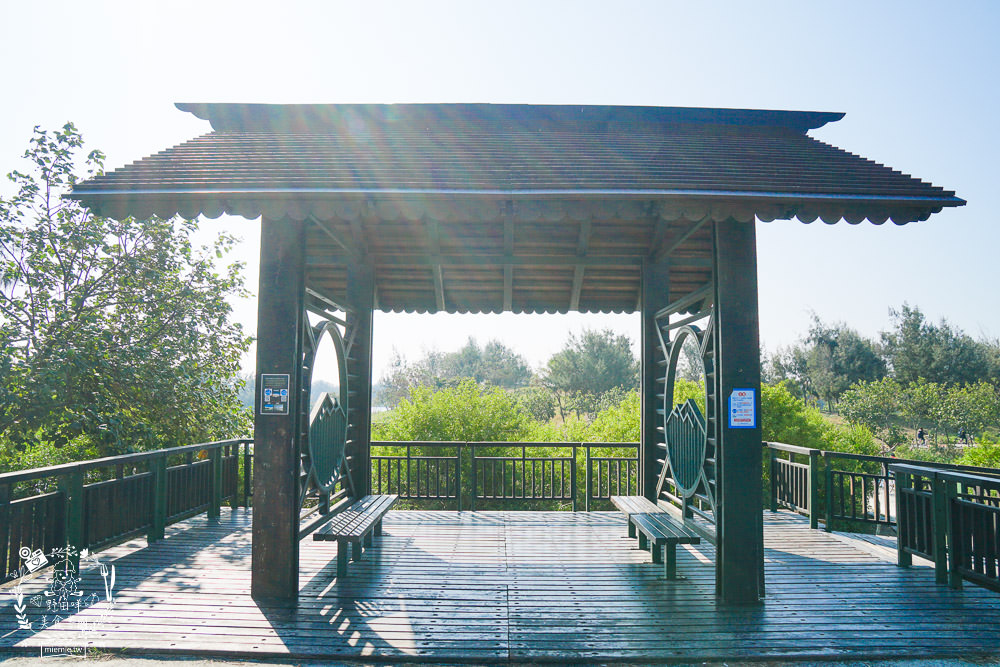 雲林景點[椬梧滯洪池]綠意盎然的樹林濕地!優美如畫的自然生態!熱門IG打卡網美景點!