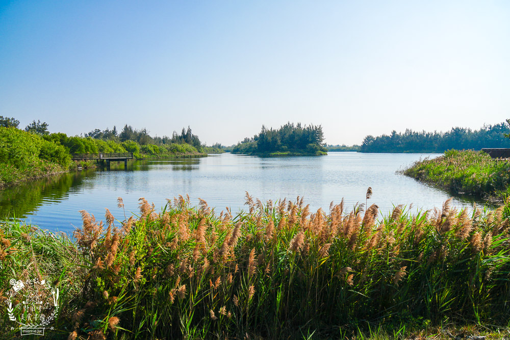 雲林景點[椬梧滯洪池]綠意盎然的樹林濕地!優美如畫的自然生態!熱門IG打卡網美景點!