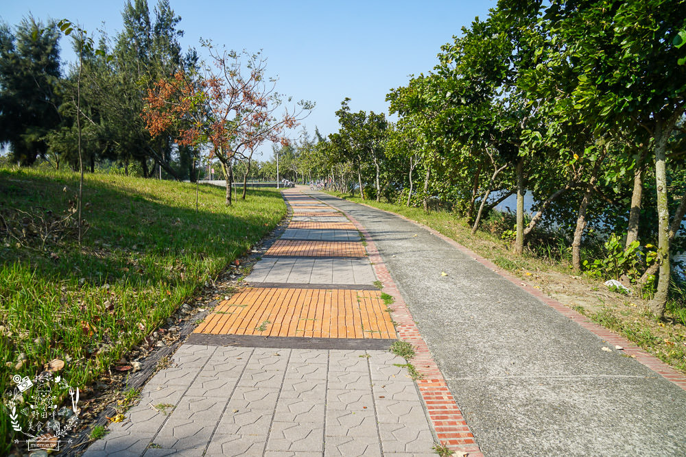雲林景點[椬梧滯洪池]綠意盎然的樹林濕地!優美如畫的自然生態!熱門IG打卡網美景點!