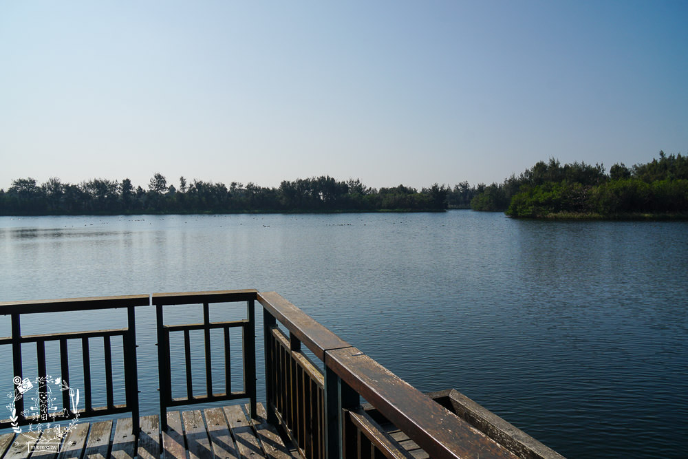 雲林景點[椬梧滯洪池]綠意盎然的樹林濕地!優美如畫的自然生態!熱門IG打卡網美景點!