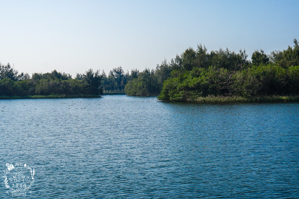 雲林景點[椬梧滯洪池]綠意盎然的樹林濕地!優美如畫的自然生態!熱門IG打卡網美景點!