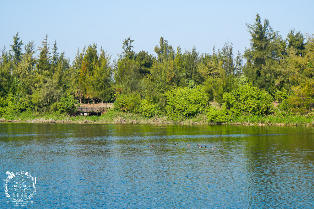 雲林景點[椬梧滯洪池]綠意盎然的樹林濕地!優美如畫的自然生態!熱門IG打卡網美景點!