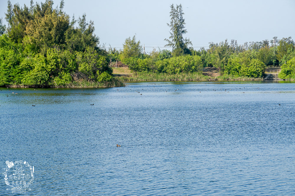 雲林景點[椬梧滯洪池]綠意盎然的樹林濕地!優美如畫的自然生態!熱門IG打卡網美景點!
