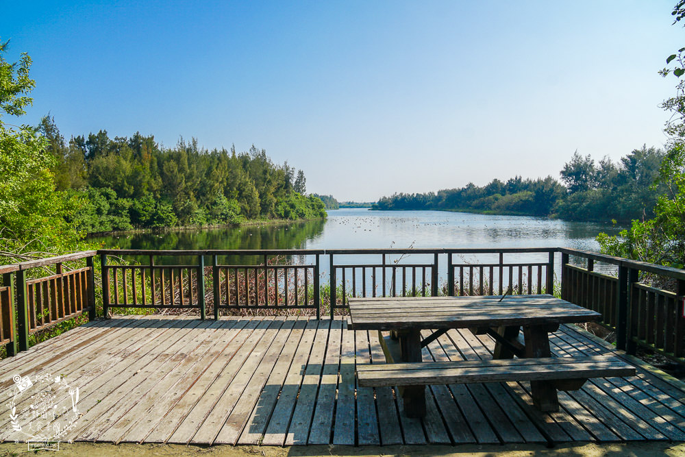 雲林景點[椬梧滯洪池]綠意盎然的樹林濕地!優美如畫的自然生態!熱門IG打卡網美景點!