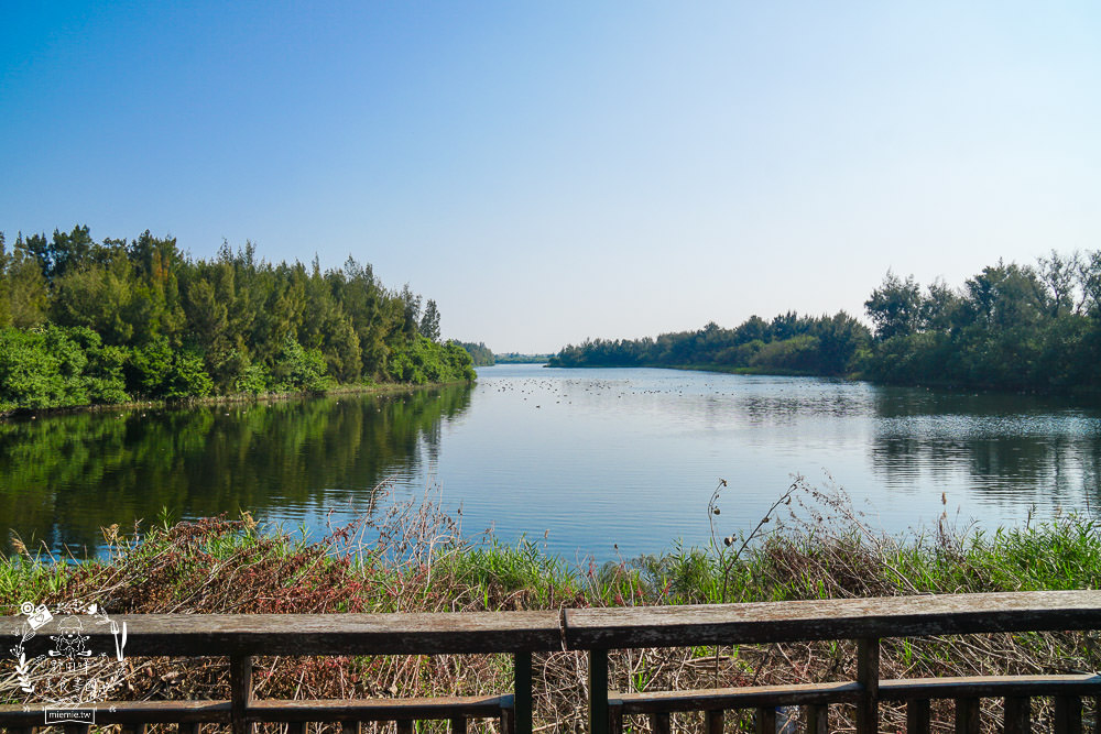 雲林景點[椬梧滯洪池]綠意盎然的樹林濕地!優美如畫的自然生態!熱門IG打卡網美景點!
