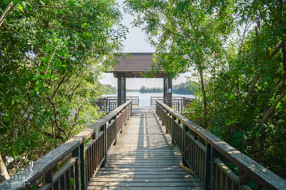 雲林景點[椬梧滯洪池]綠意盎然的樹林濕地!優美如畫的自然生態!熱門IG打卡網美景點!