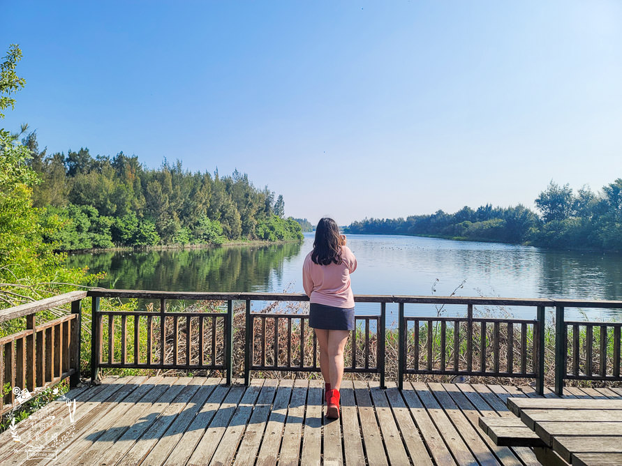 雲林景點[椬梧滯洪池]綠意盎然的樹林濕地!優美如畫的自然生態!熱門IG打卡網美景點!