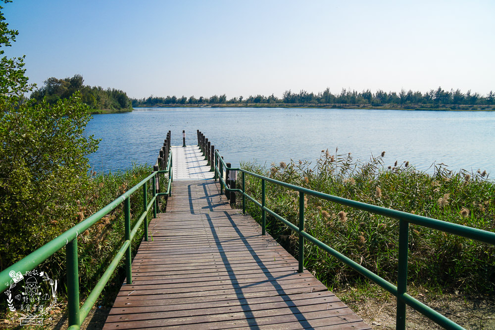 雲林景點[椬梧滯洪池]綠意盎然的樹林濕地!優美如畫的自然生態!熱門IG打卡網美景點!