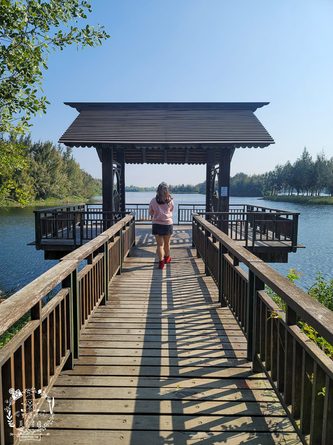 雲林景點[椬梧滯洪池]綠意盎然的樹林濕地!優美如畫的自然生態!熱門IG打卡網美景點!